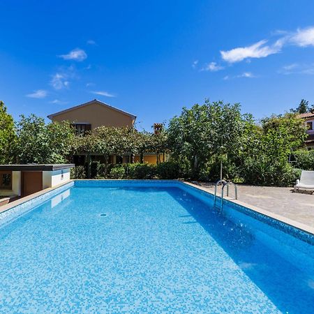 Holiday Home Edi - Roj433 By Interhome Žminj Zewnętrze zdjęcie